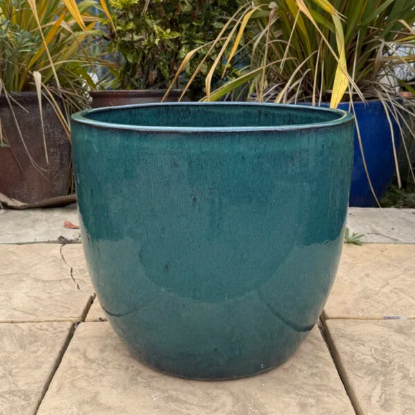Glazed Green Vaso Giant Egg - Image 4