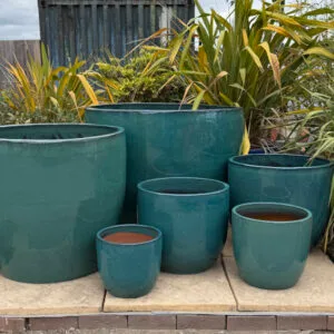 Glazed Green Vaso Giant Egg