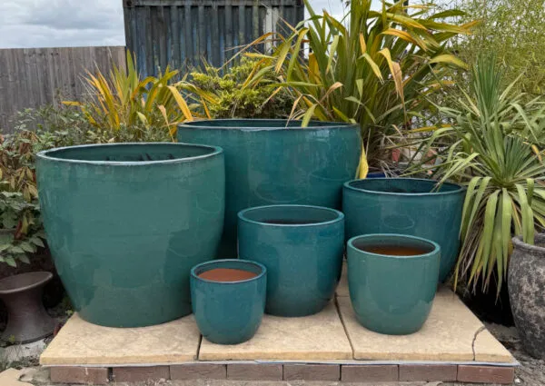Glazed Green Vaso Giant Egg