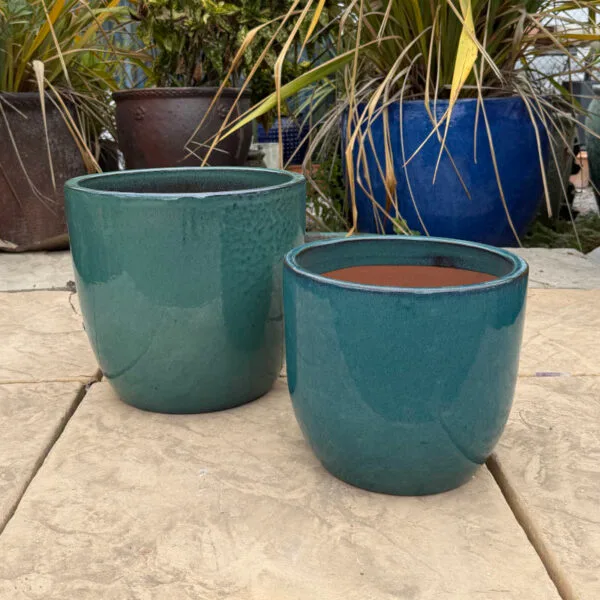 Glazed Green Vaso Giant Egg - Image 6