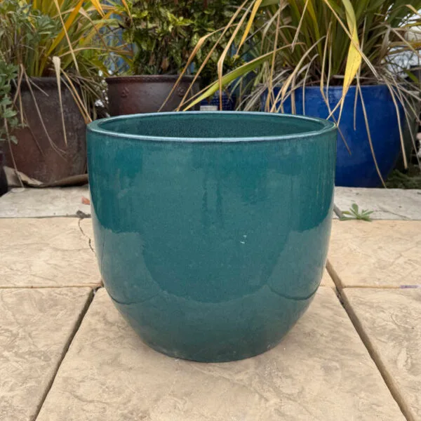 Glazed Green Vaso Giant Egg - Image 5