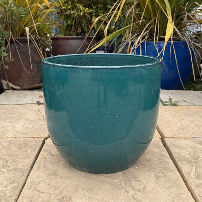 Glazed Green Vaso Giant Egg - Image 5