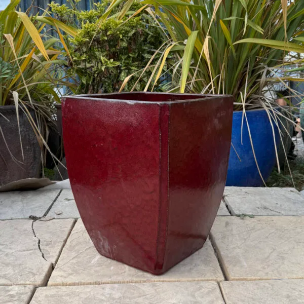 Glazed Ox Blood Red Curved Camilla - Image 2