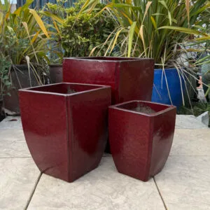 Glazed Ox Blood Red Curved Camilla