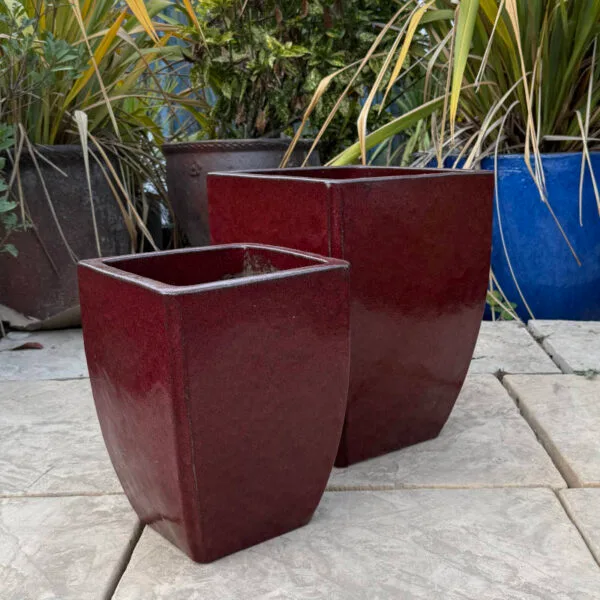 Glazed Ox Blood Red Curved Camilla - Image 3