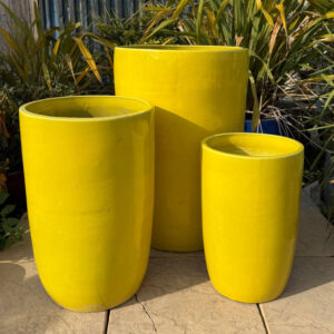 Glazed Yellow Giant Cylinder
