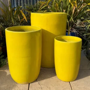 Glazed Yellow Giant Cylinder