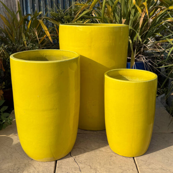 Glazed Yellow Giant Cylinder