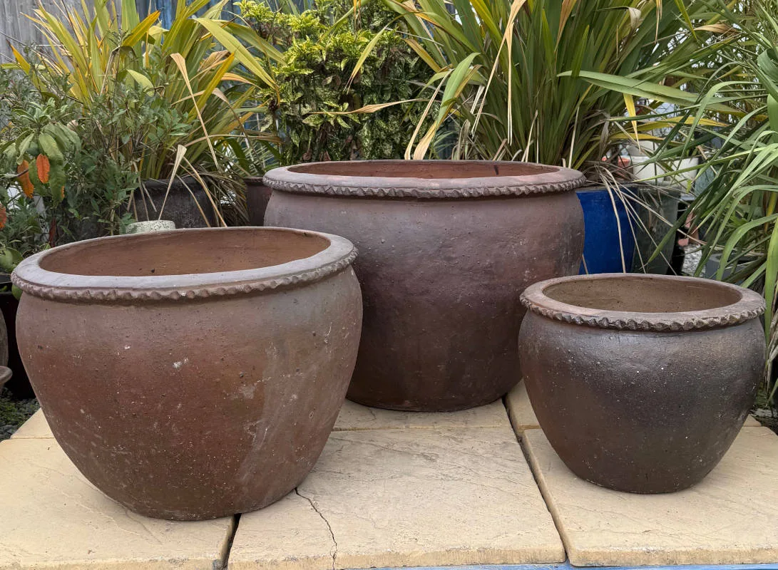 Rustic Wavy Rim Bowl