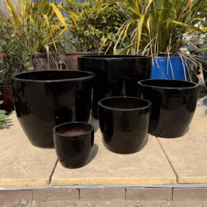 Glazed Black Shanghai Egg Pot