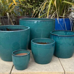 Glazed Green Shanghai Egg