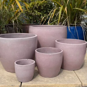 Glazed Pink Shanghai Egg