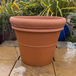 Tuscan Doppio Bordo Medium Second