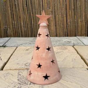 Tuscan Star Cone