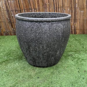 Atlantis Green Rimmed Egg Large Second