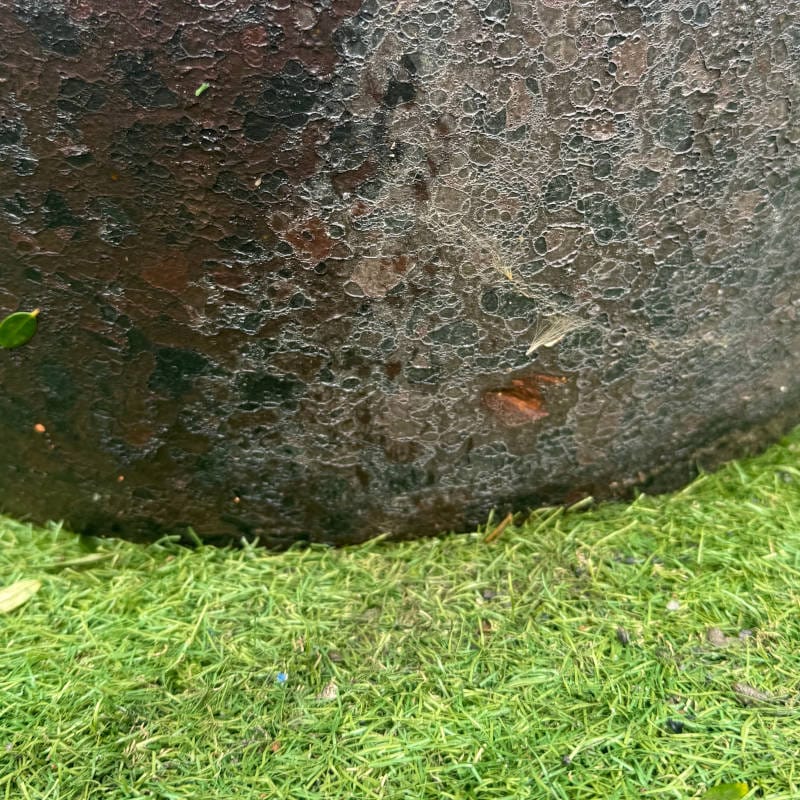 Atlantis Iron Red Vaso Giant Egg Extra Large Second - Image 4