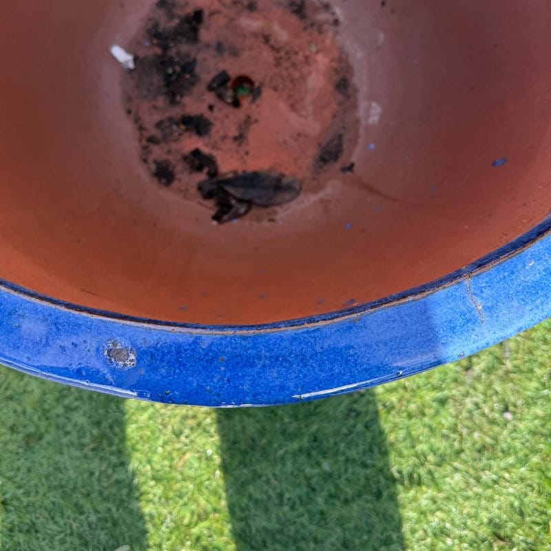 Glazed Blue Original Egg Pot Medium Second - Image 3