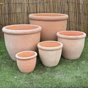 Terracotta