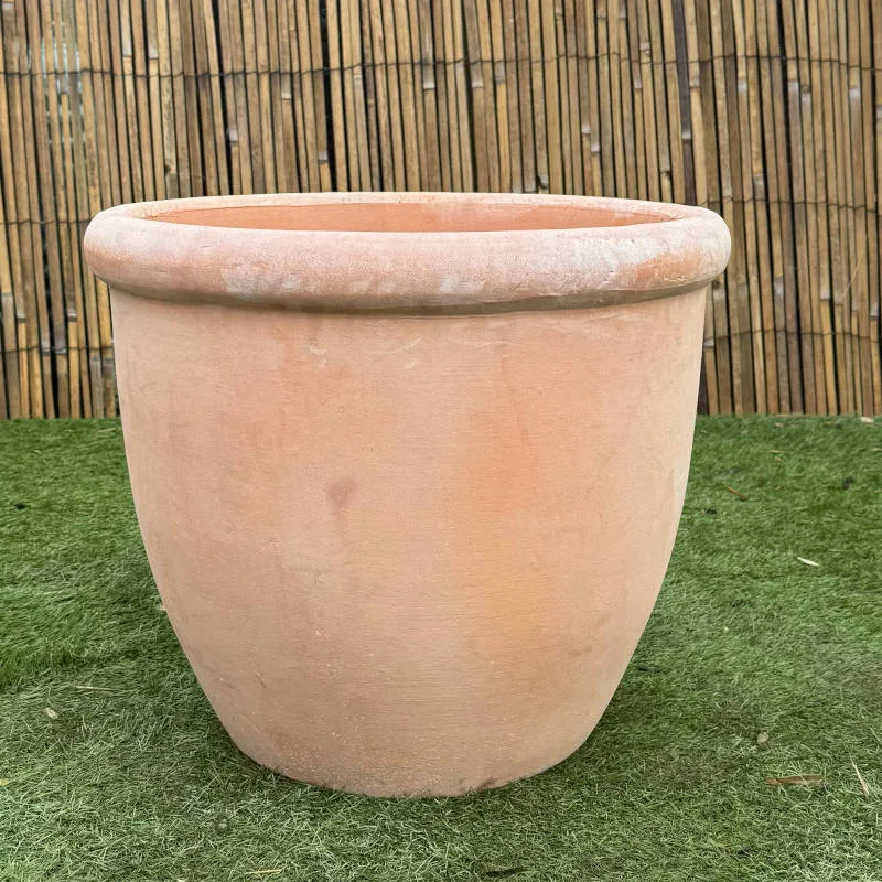 Tuscan 352 - Image 3