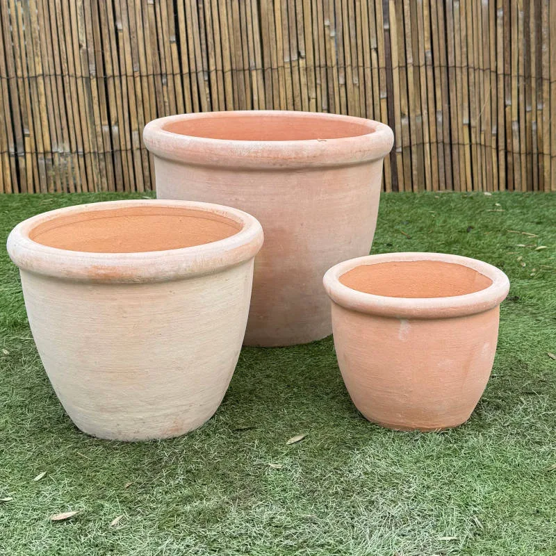 Tuscan 352 - Image 4
