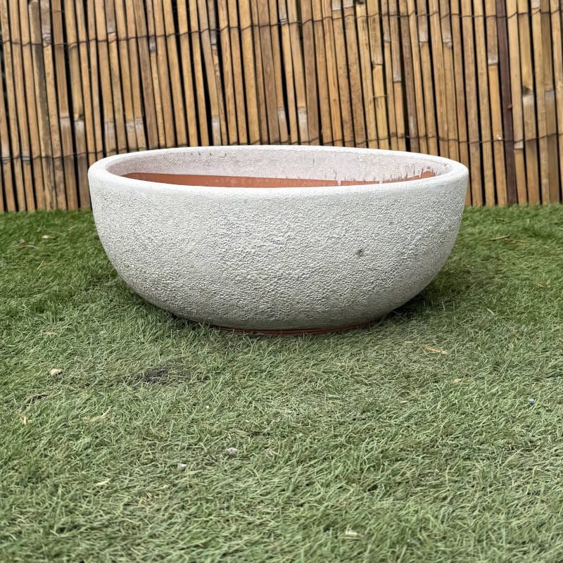 Atlantis White Low Bowl - Image 4