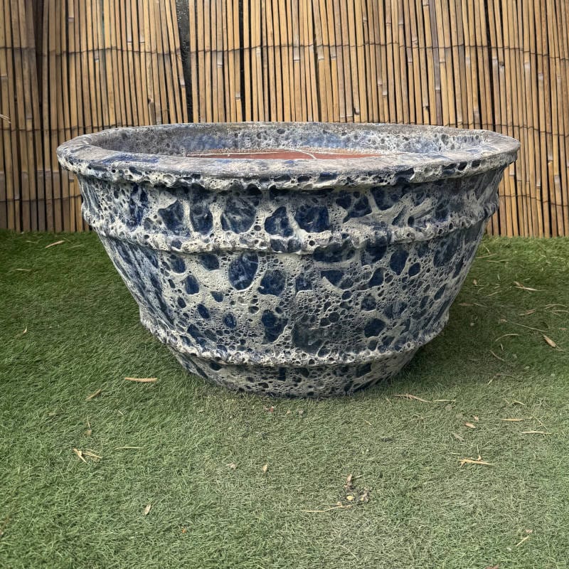 Atlantis Dark Blue Azelia Bowl- - Image 3