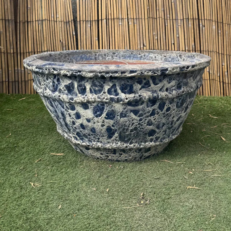 Atlantis Dark Blue Azelia Bowl- - Image 3