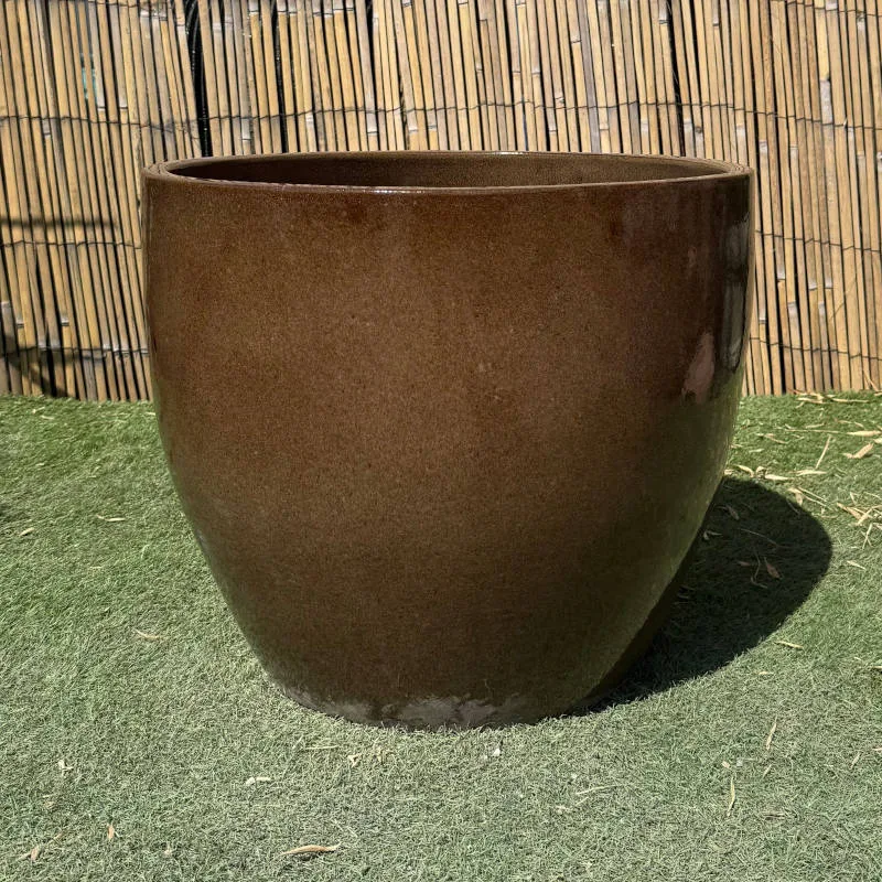 Glazed Brown Shanghai Egg - Image 2