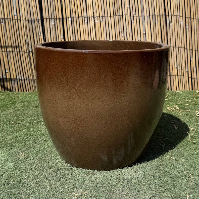 Glazed Brown Shanghai Egg - Image 3
