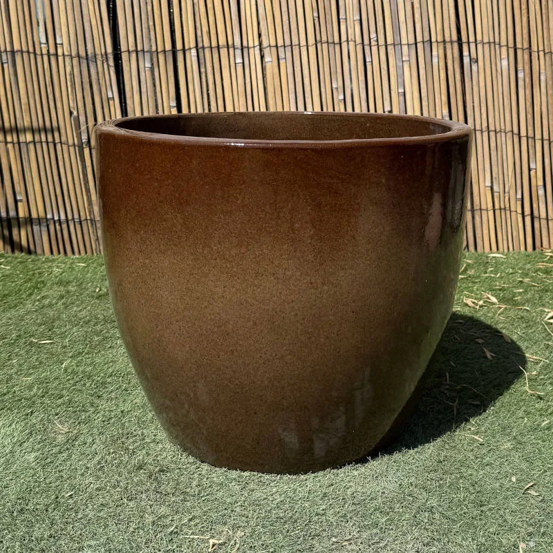 Glazed Brown Shanghai Egg - Image 3