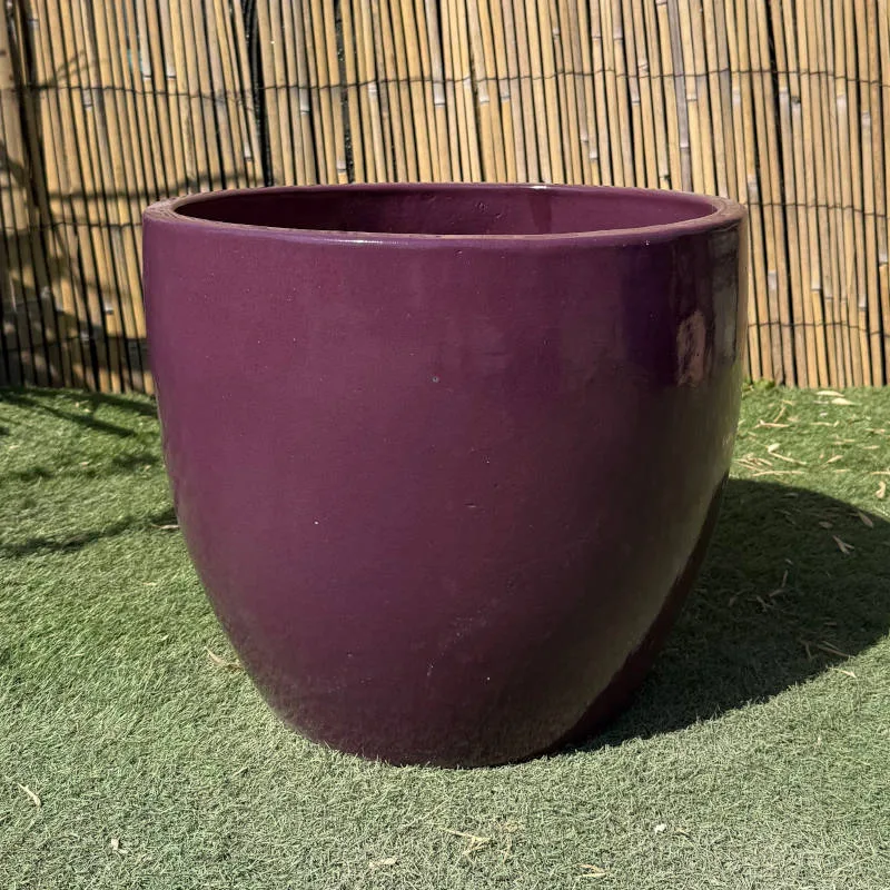 Glazed Lilac Shanghai Egg - Image 3