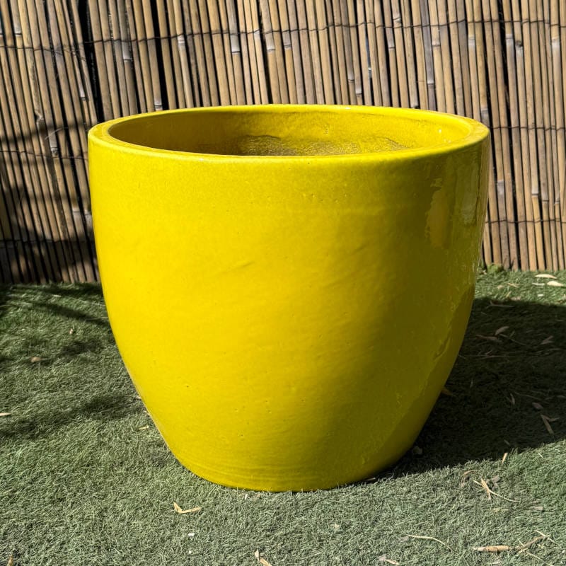 Glazed Yellow Shanghai Egg - Image 3