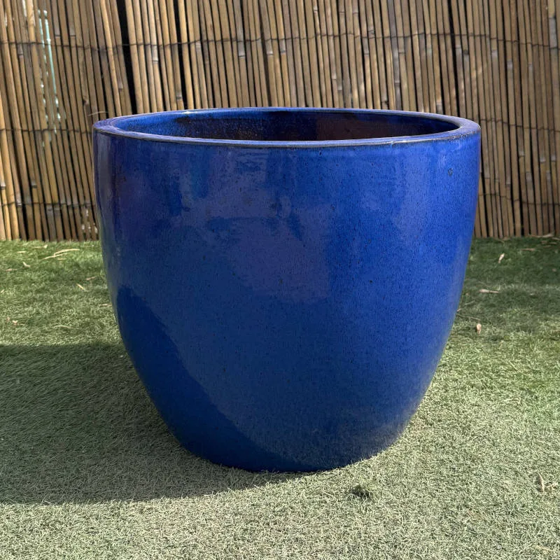 Glazed Blue Shanghai Egg - Image 3