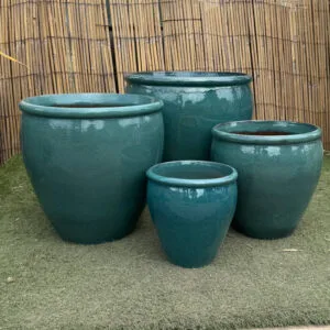 Glazed Green Rimmed Egg