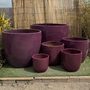 Glazed Lilac Vaso Giant Egg