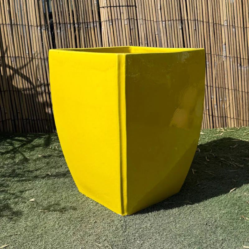 Glazed Yellow Curved Camilla - Image 2