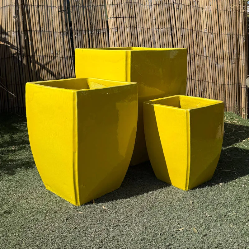 Glazed Yellow Curved Camilla