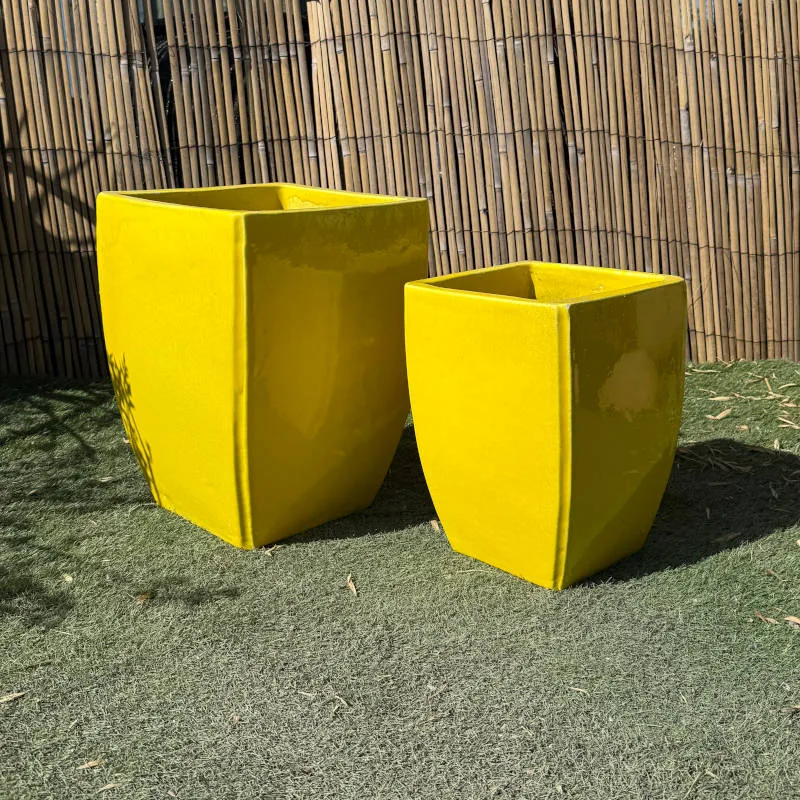 Glazed Yellow Curved Camilla - Image 3