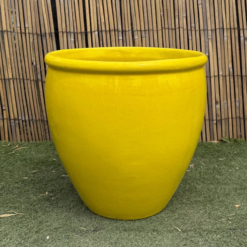Glazed Yellow Rimmed Egg - Image 3