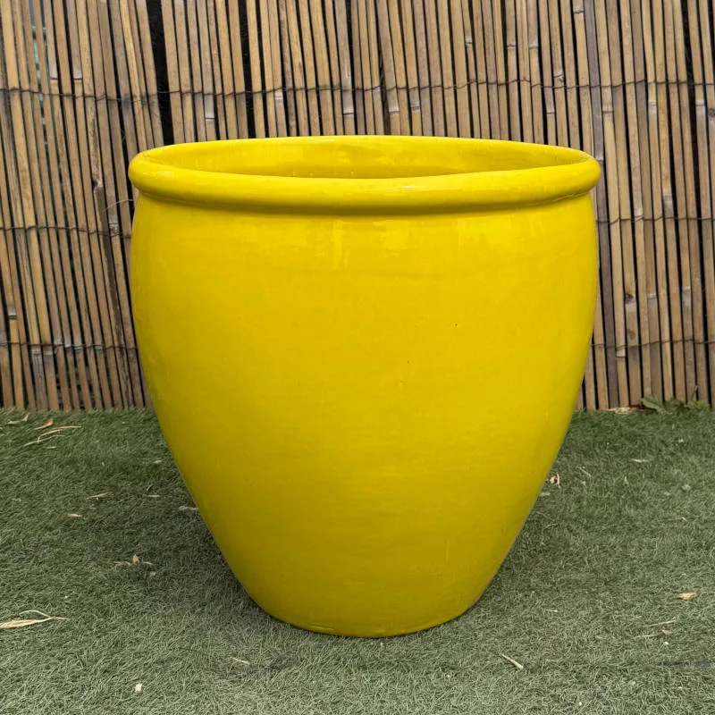 Glazed Yellow Rimmed Egg - Image 3