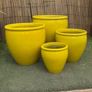 Glazed Yellow Rimmed Egg
