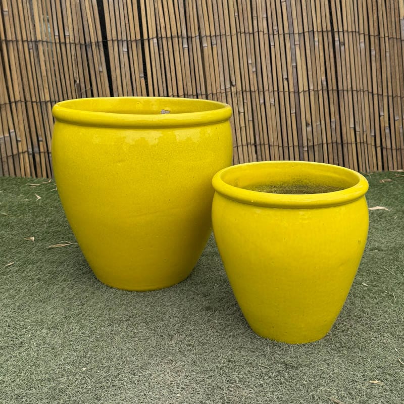 Glazed Yellow Rimmed Egg - Image 4