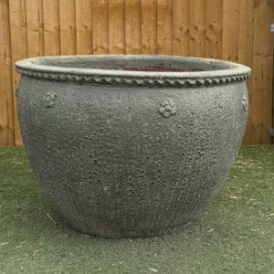 Atlantis Green Scallop Rim Apricot Large Second