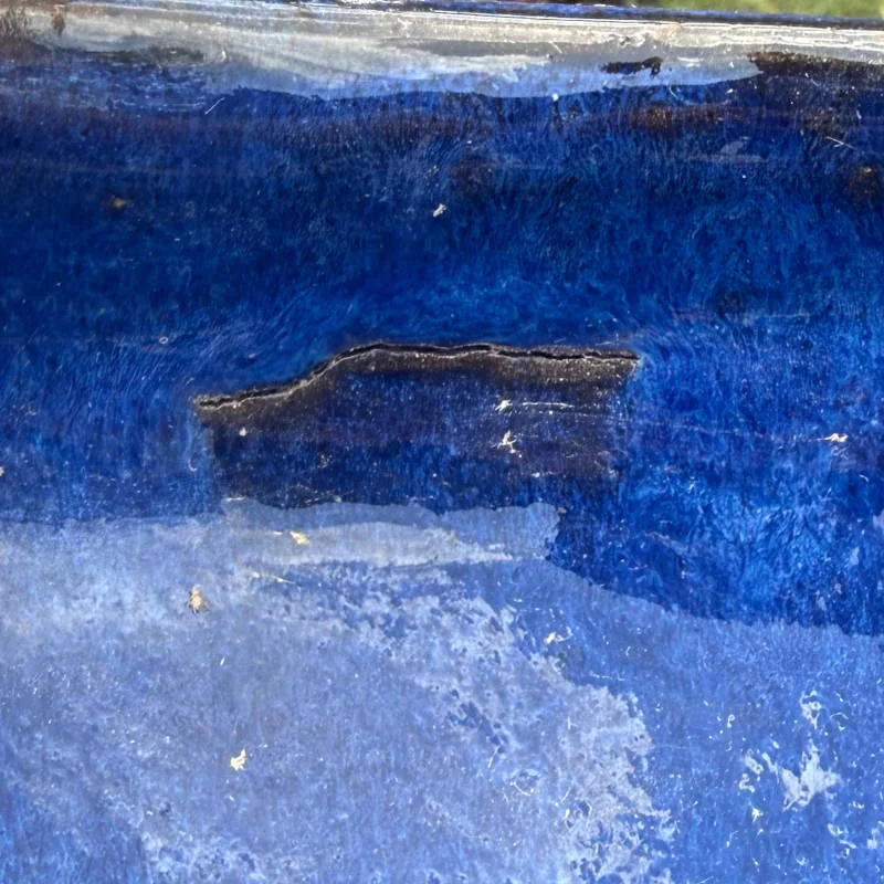 Glazed Blue Star Fruit Large Second - Image 3