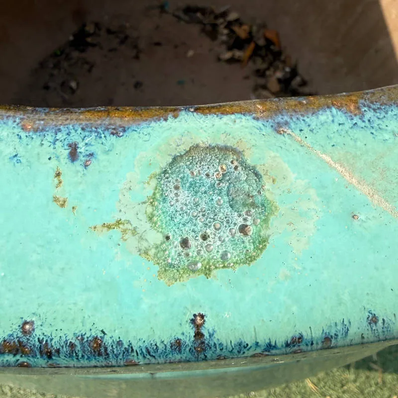 Glazed Green Giant Coin Pot Large Second - Image 3