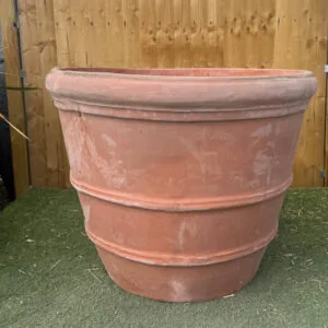 Terracotta Giant 3 Ring Second