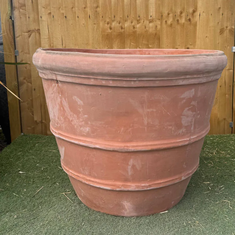 Terracotta Giant 3 Ring Second