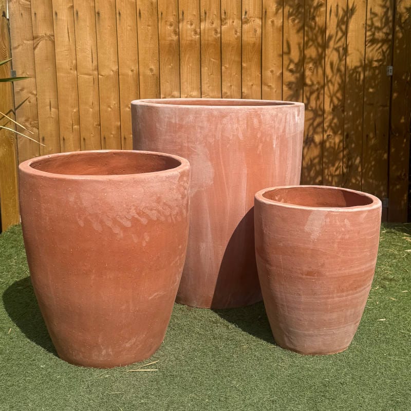 Terracotta Tall Egg Pot