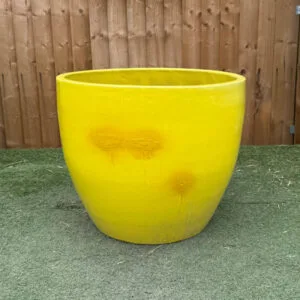 Glazed Yellow Shanghai Egg Large Second