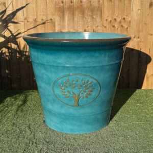 Lightweight Aqua Ascot Pot